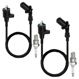SHIQINHA GY6 Ignition Coil and A7TC Spark Plug Compatible with Tao tao 49cc 50cc 150cc ATM50 Pony VIP Powermax Roketa Baja Ice Bear Scooter Chinese 4-Stroke Moped Pit Dirt Bike Go Kart Parts -2 Pack