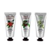 [Out_62] 60ml Hand Cream The Herb Shop Hand Cream - Dongbaek/FREE / [아우트_62]60ml 핸드크림 더허브샵 핸드크림 - 동백／FREE