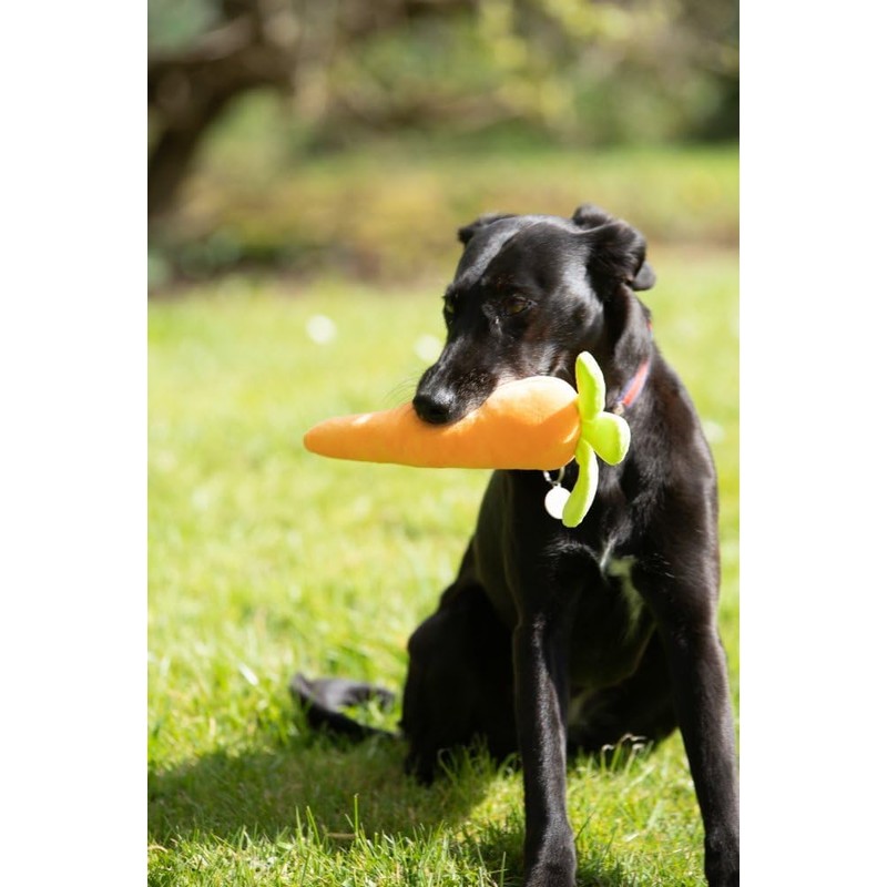 Petface Foodie Faces Fluffy Carrot Dog Toy