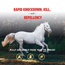 Manna Pro Pro-Force Fly Spray - Rapid Knockdown Fly Repellent for Horses - Repels More than 70 Listed Species for up to 14 Days - 32 oz