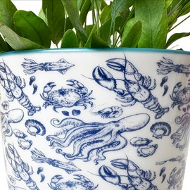 CHIVE 'Liberte' Ceramic Succulent Planters — Cute 4.25 Inch Vintage Style Pots for Indoor Plants — Beautiful Home and Kitchen Décor — Octopus