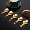 5 PCS Short Handle Spoons Gold Mini Scoops Stainless Spoons