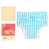Adult Incontinence Underwear Leak Protection Underwear Pads Elderly Reusable Fabric