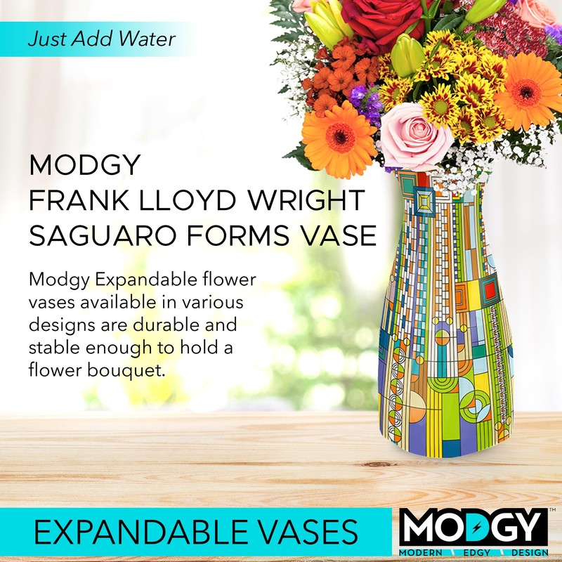 MODGY Expandable Flower Vase, Plastic Decorative Modern Foldable Printed Vases