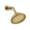 Kohler 72774-G-2MB Artifacts® Single-function showerhead, 1.75 gpm, Vibrant Brushed Moderne