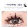 LEZAK Pestañas Postizas Naturales Segmentación Extensiones Lashes