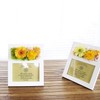 SSP09 Preserved Flowers Photo Frame, Parfait Campagne Gerbera Orange White,