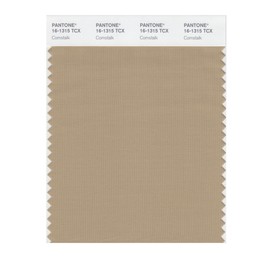 PANTONE Smart 16-1315X Color Swatch Card, Cornstalk