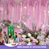 Tinsel Backdrop Foil Fringe Tinsel Curtain Backdrop Pink Green Streamers