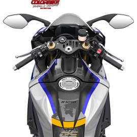 Tank Pad Motorcycle Tank Pad 3D Carbon Compatible with BM R 1250 GS R1250 2019 Exclusive - 28 x 17 cm