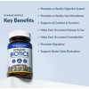 100% Pure Dynamic BIOTICS Stonehenge Probiotic Immune, Digestive, IBS &
