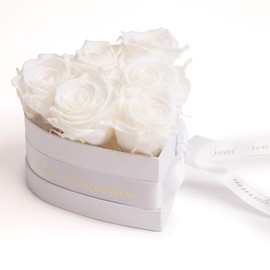 ROSEMARIE SCHULZ Heidelberg Seni Seviyorum Hediye Rose Heart Infinity Rose Box in Heart Shape Preserved Roses Gift for Women (Seni Seviyorum, White)