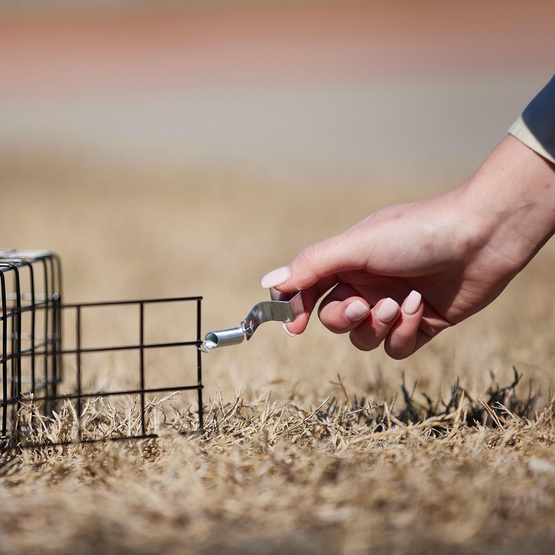 Rugged Ranch 2 Pack Squirrel Trap, Live Animal Catch &