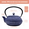 SECHUDO Cast Iron Teapot Tea Kettle with Stainless Steel Infuser