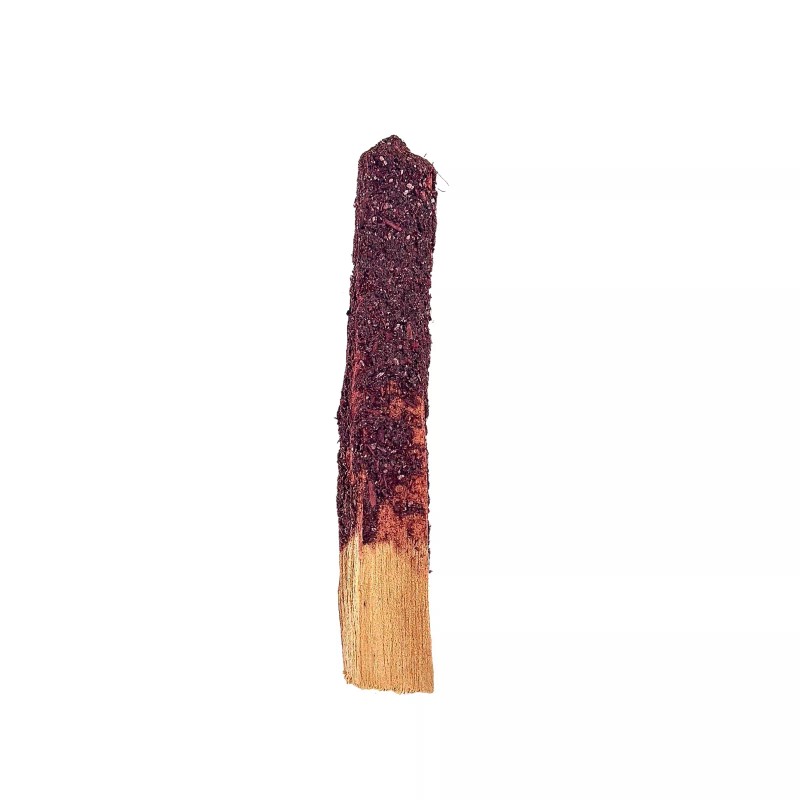 Dragon's Blood Dipped Palo Santo Stick by New Moon Beginnings