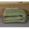 Houseri Sage Green Velvet Full Size Comforter Set Fluffy Light