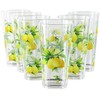 Reston Lloyd Calypso Basics Fresh Lemons 19 oz Acrylic Drinkware