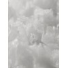 Signature Origin 100 Ampoule + Signature Origin 86 Mist /
