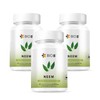 Bio B  Neem 3 Pack de 60 cpsulas veganas cada uno - Producto Original de Alta Calidad, Entrega Rápida y Segura, Garantía Incluida                     