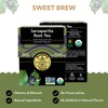 Buddha Teas - Organic Sarsaparilla Root Tea - Herbal Tea