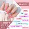 Gel Nail Color, Transparent Transparency, Sheer Color, Solid Color, 0.3