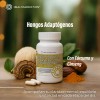 Melena De Leon, Cordyceps, Cola De Pavo Y Reishi. 60