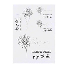 4 x 'Carpe Diem: Seize The Day' Temporary Tattoos - Water Resistant, Skin-Safe, Non-Toxic Transfers, Mixed Sizes (TO00084024)