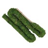 Natural Moss Pole Bendable Moss Plant Rod Plant Climbing Gardening