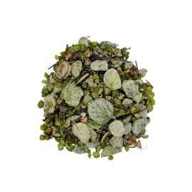 Greek Dried Dittany Leaves Cretan 85g - 1.95Kg - Origanum Dictamnus (85 grams)