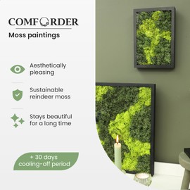 comforder Rectangular Real Moss Wall Art Picture 6.7x 9.4”/ 17x24cm, Preserved Moss Wall Art with Wooden Frame, Natural Wall Décor for the Living Room