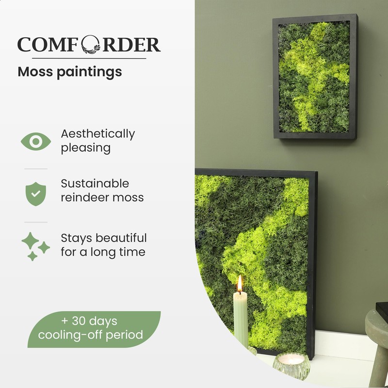 comforder Rectangular Real Moss Wall Art Picture 6.7x 9.4”/ 17x24cm,