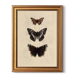 ARPEOTCY Gold Framed Canvas Wall Art, 12x16inch, Retro Butterfly Insect Art Prints, Rustic Decor for Bathroom Bedroom Living Room Hallway Shelf, Vintage Farmhouse Decor,Small