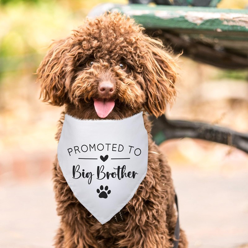 Promoted to Big Brother White Pet Dog Bandanas Triangle Scarf