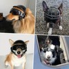 Small Breed Dog Helmet and Goggles Set - UV Protection