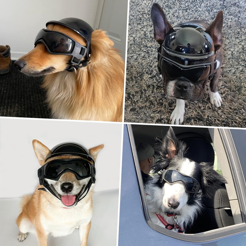 Small Breed Dog Helmet and Goggles Set - UV Protection