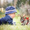 3 Pieces Adjustable Rabbit Harness and Leash Bunny Harness Vest