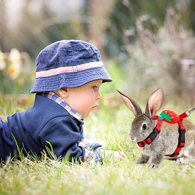3 Pieces Adjustable Rabbit Harness and Leash Bunny Harness Vest