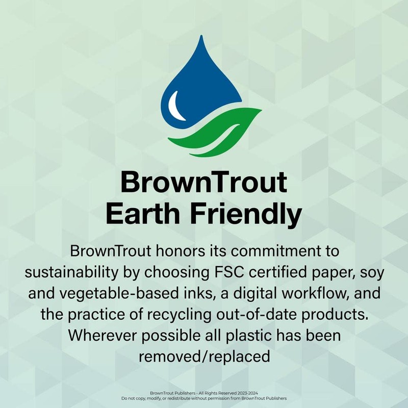 Dodge Charger 2024 Square Foil