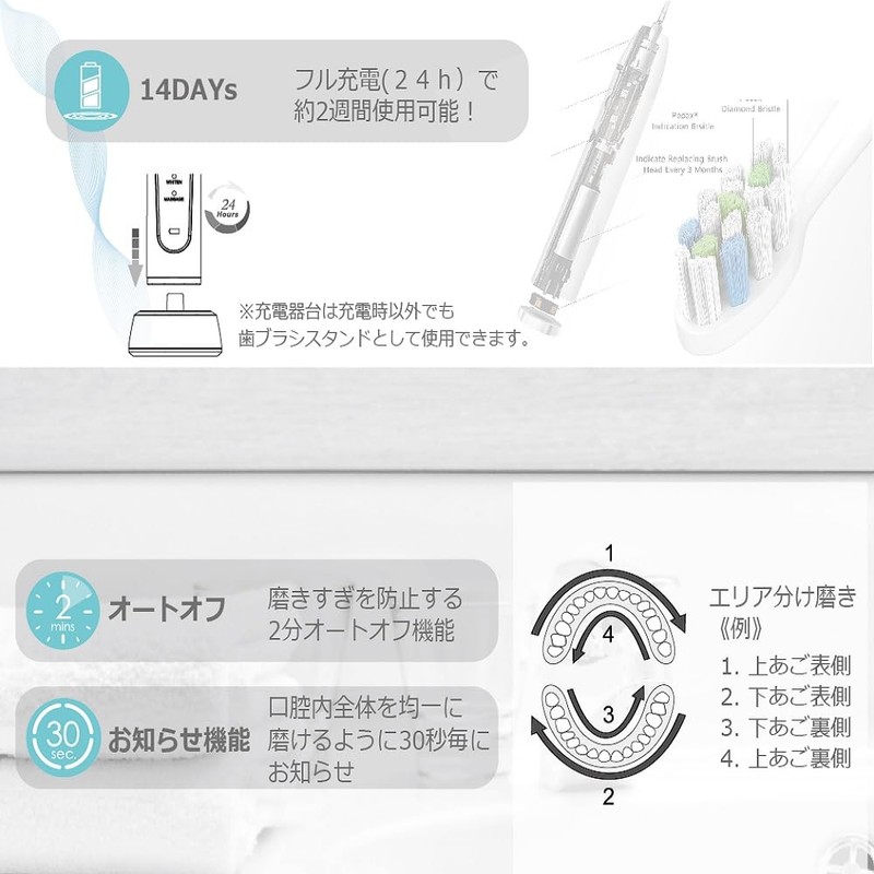 アズワン 電動音波歯ブラシ 充電スタンド付 替えブラシ付(大・小) NV-2421 ソニック 電動歯ブラシ 充電式 防水IPX7 歯周病予防