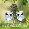 Owl Earrings 925 Sterling Silver Moonstone Owl Earrings Owl Jewellery