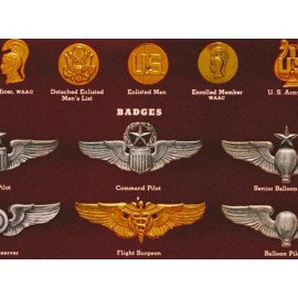 Insignia of the U.S. Army 1943 Vintage Style WW2 Poster 18x24