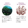 Lasana Seaweed Volume Up Hair Essence, Citrus & Floral Scent,