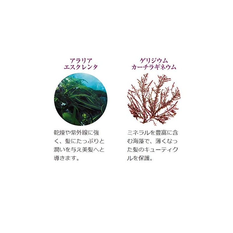 Lasana Seaweed Volume Up Hair Essence, Citrus & Floral Scent,