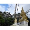 Guru-Shop Tibetan Prayer Flags in Various Lengths 25 Pennants /