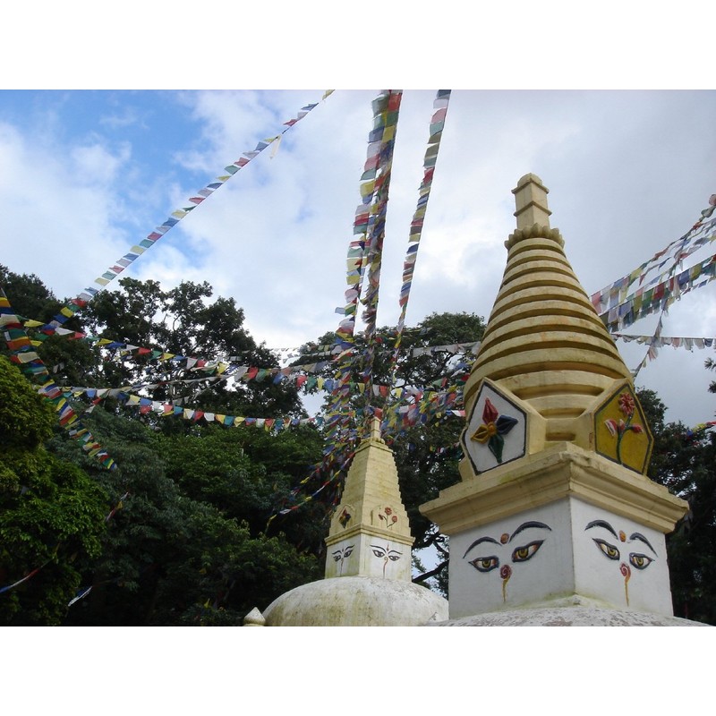 Guru-Shop Tibetan Prayer Flags in Various Lengths 25 Pennants /