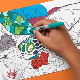 Sharpie Feiner 2194216 Magneta Pack of 12