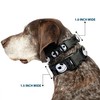 Buckle Down-DOWN Collar de Clip de plástico, Nightmare Before Christmas