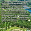 JINQI 化橘红 Hua Zhou orange Medicinal tea Chinese tea 200g(100g×2