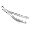 PRECISE CANADA: Dental EXTRACTING Forceps #151 PC