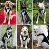 Tuxedo and Bandana Set, 2 Pack Pet Costume Puppy Formal
